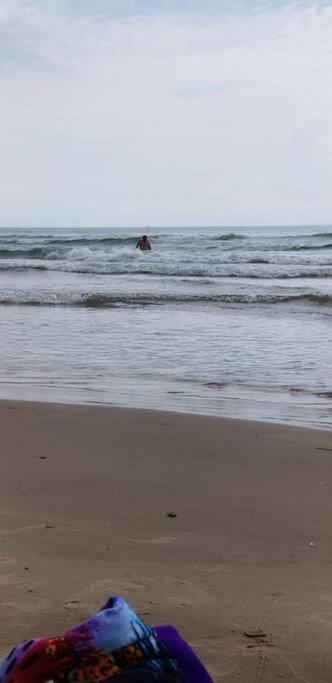 2 Bed 1 Bath Condo By Beach & Entertainment South Padre Island Eksteriør billede